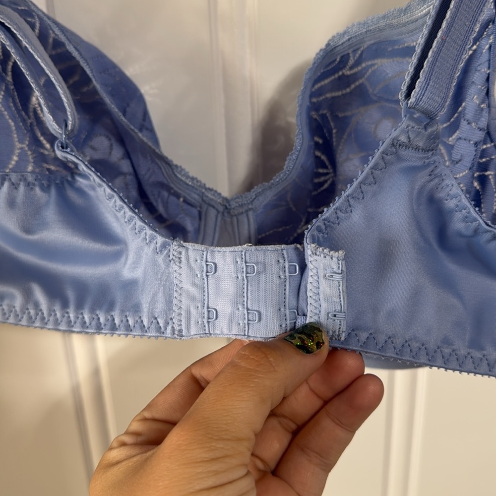 Elegant Blue Lace Bra - Picture 8 of 11